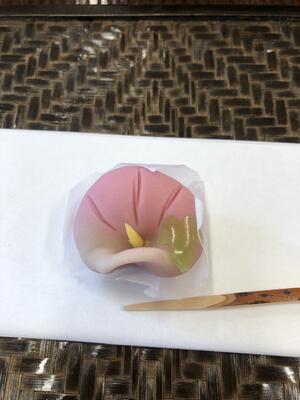 朝顔の上生菓子